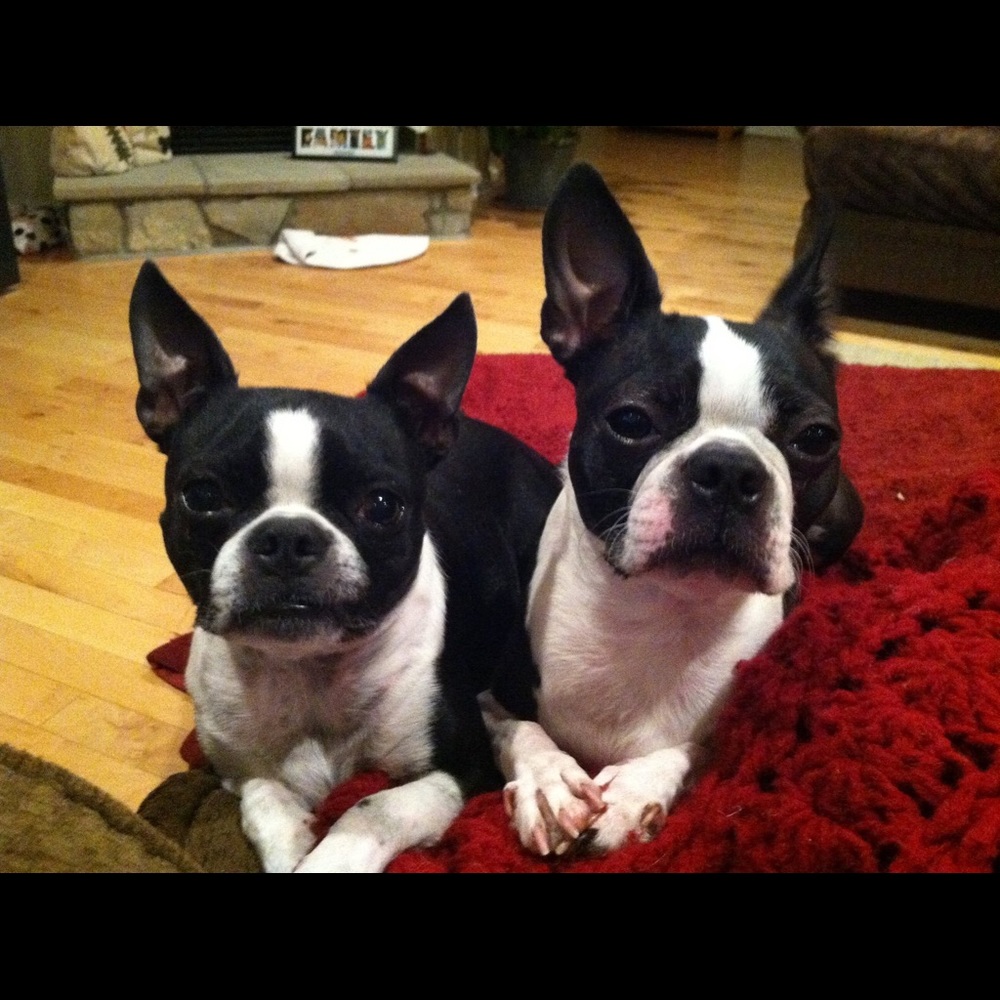 Meet your Posher, Deanna